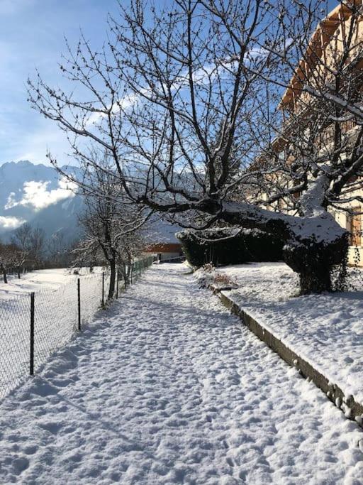 Appartement Rez De Jardin Montee De L'Alpe D'Huez Ла-Гард Экстерьер фото
