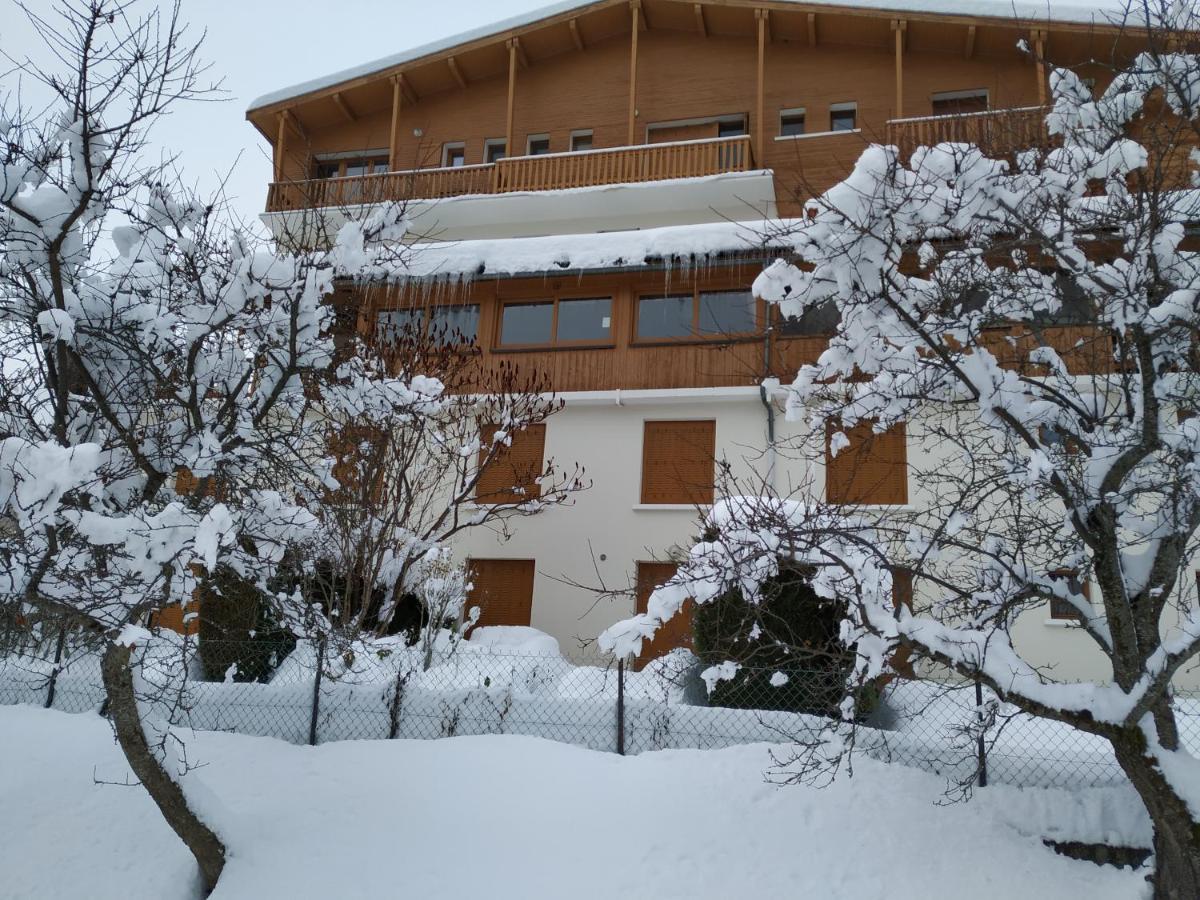 Appartement Rez De Jardin Montee De L'Alpe D'Huez Ла-Гард Экстерьер фото